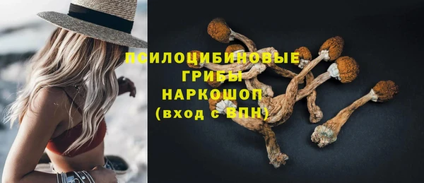ECSTASY Белоозёрский