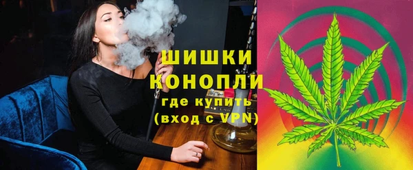 кокс Белокуриха