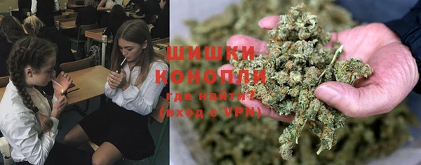 кокс Белокуриха