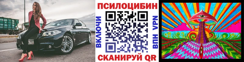 кракен онион  Вихоревка  Галлюциногенные грибы Psilocybe 